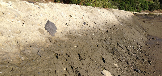 I found this wall on the otherside of the estuary. It has been made recently as part of a Rotary/ Council funded walkway. It has large chunks in it and although huge seems softer than my mix.