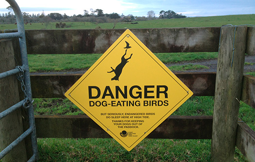 DOG-EATING BIRDS. I  thought this sign might be a fun way to get dog owners to keep their dogs out of the paddock. Great feedback so far. 