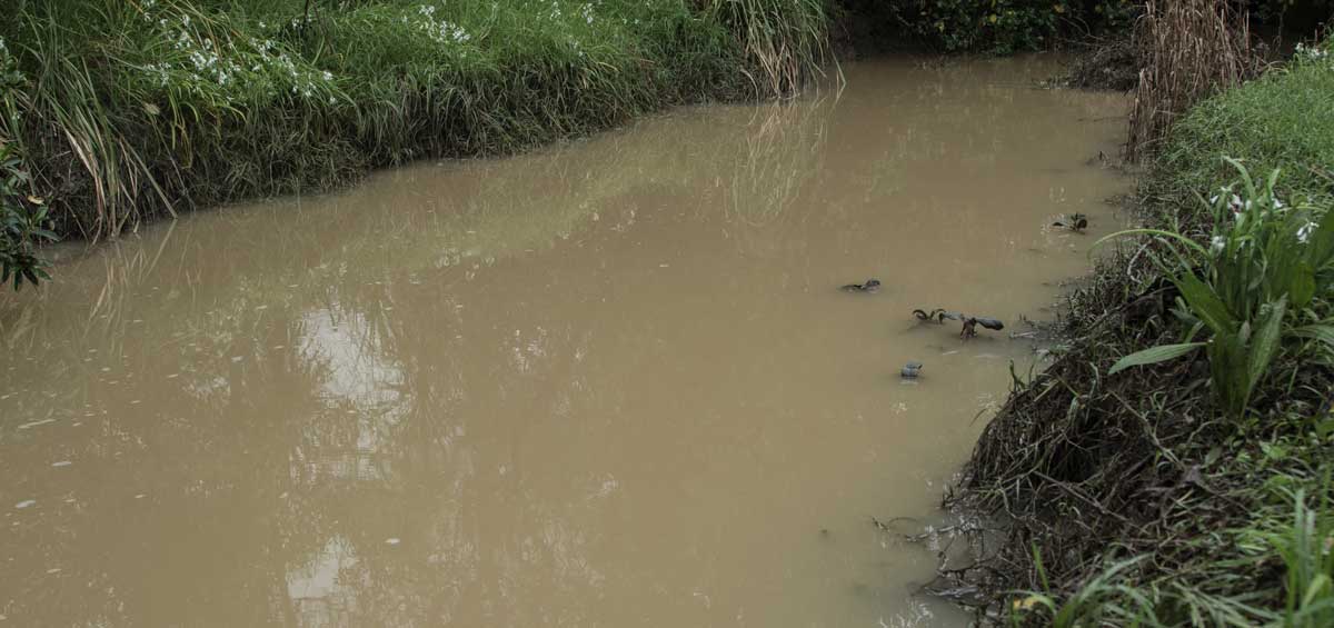 The local creek is suspiciously the same colour as the water at the development site