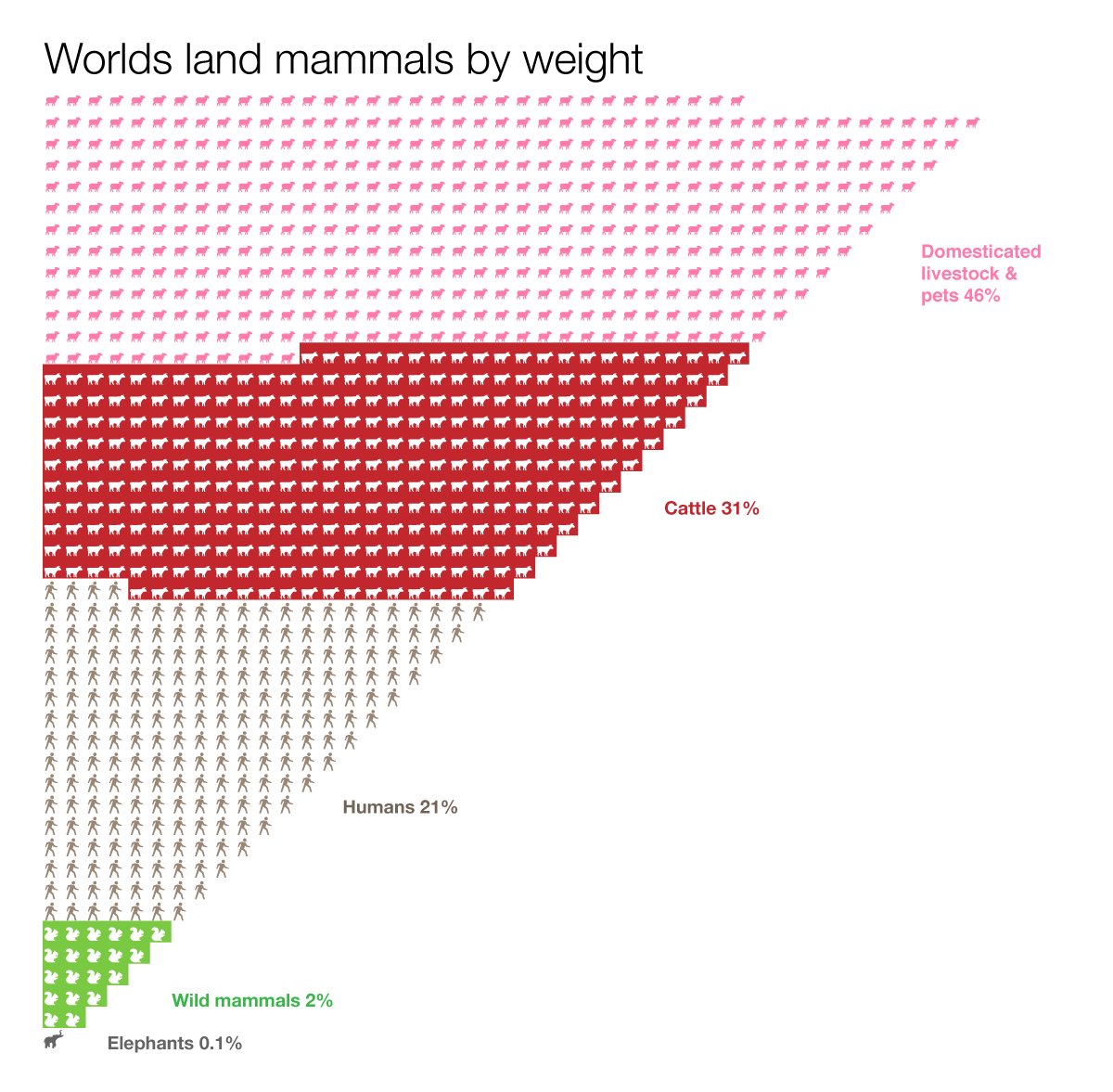 Worlds land mammals by weight