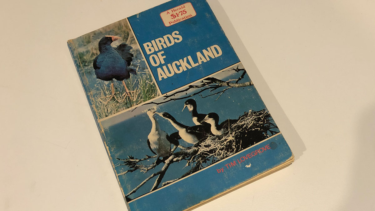 Birds of Auckland