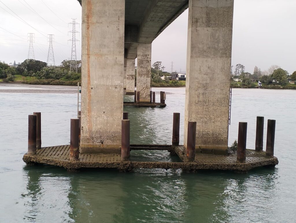 Amanda Choy reports that the nest boxes are missing. The wooden base of the platform has been repaired so its likely the nest boxes were removed. Unsure if the concrete rings are also missing.