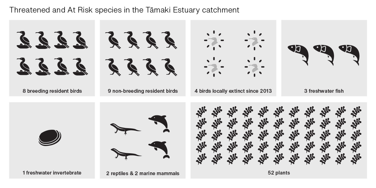 Threatened and At Risk species of the Tāmaki Estuary