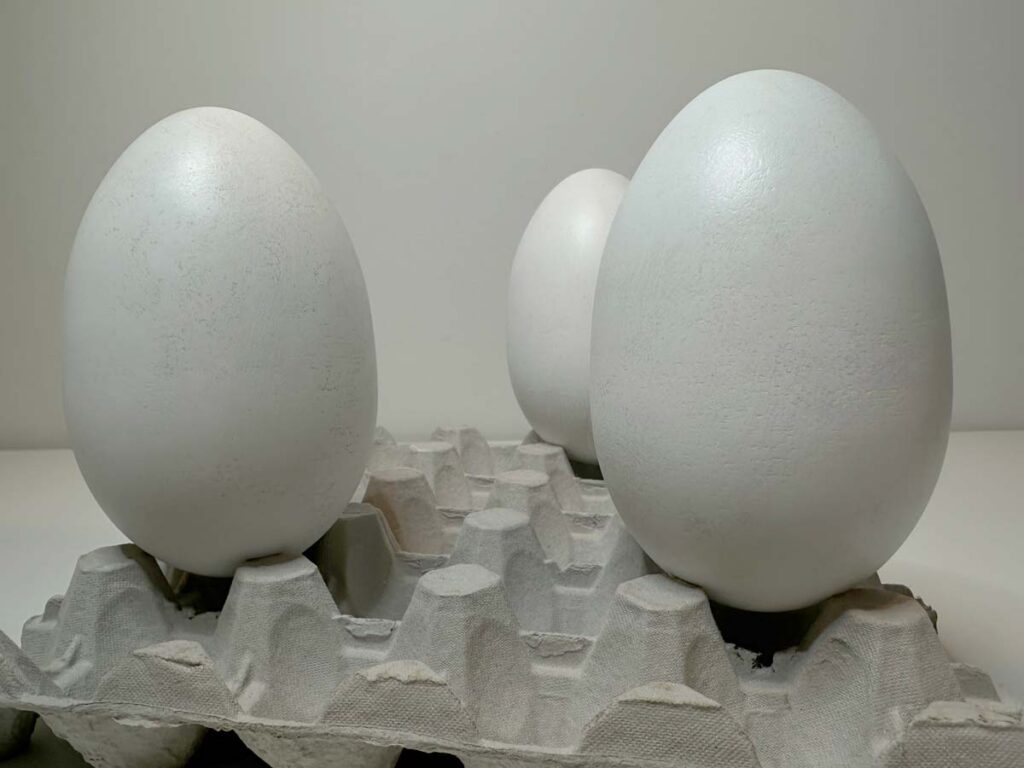 3D Printed kiwi-nui egg