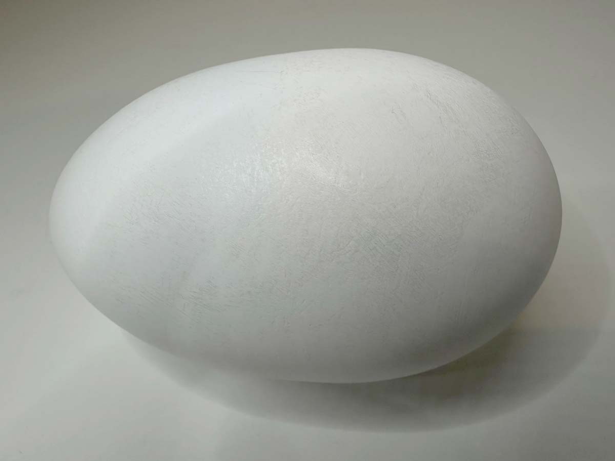 3D Printed kiwi-nui egg